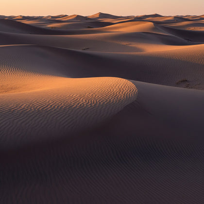 Desert Wall Art canvas print, rolling sand dunes at low sun, razor sharp crest lines dividing warm gold from deep shadow