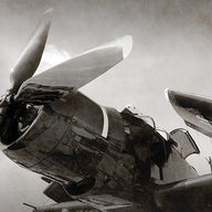 World War Ii Navy Fighter Plane with Folded Wings