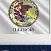 Illinois Wall Art