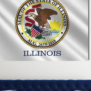 Illinois Wall Art