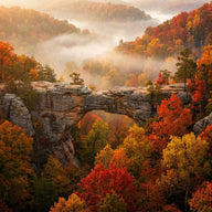 Arkansas Wall Art canvas print, a natural stone arch above forested Ozark hills in full autumn color with morning mist