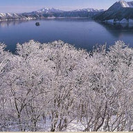 Gray and white wall art, white frosted trees above a gray winter lake