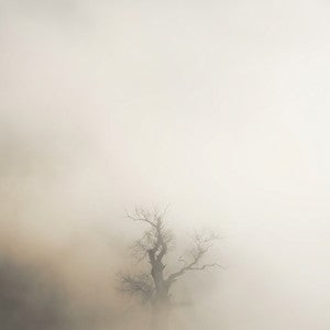 Japandi wall art: a lone bare tree in soft fog, muted sand and grey palette