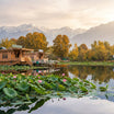 Kashmir Wall Art