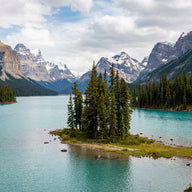 Lake Maligne Wall Art canvas print, Maligne Lake in Jasper, a small island of wind-bent spruce on turquoise water
