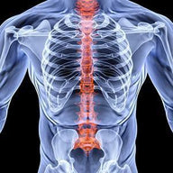 Medical Wall Art