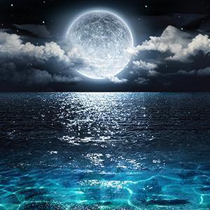 Moon Wall Art