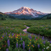 Mount Rainier Wall Art
