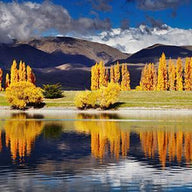New Zealand Wall Art
