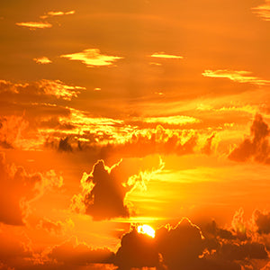 Orange Color Art Prints