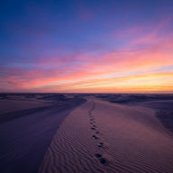 Oversized Wall Art canvas print, a vast dune field at dawn seen from a high crest