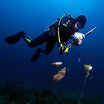Scuba Diving Wall Art