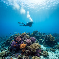 Scuba Diving Wall Art
