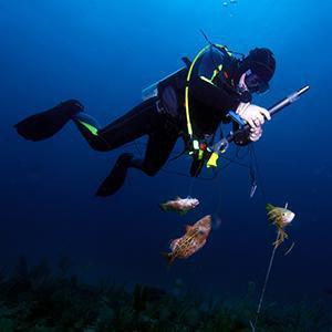 Scuba Diving Wall Art