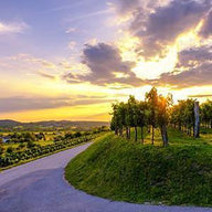 Slovenia Wall Art