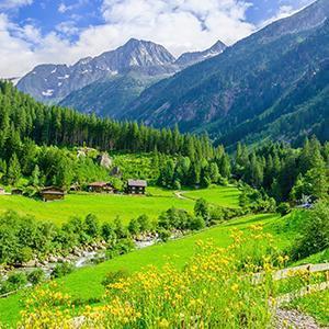 Summer Season Wall Art