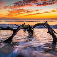 Sunrise Wall Art