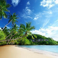 Seychelles Wall Art