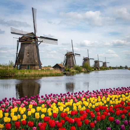 Netherlands Wall Art