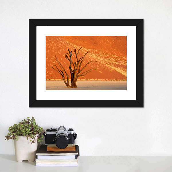 Dead Acacia Tree Against Red Sand Dune  Namibia Canvas Wall Art