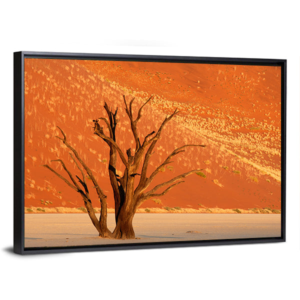 Dead Acacia Tree Against Red Sand Dune  Namibia Canvas Wall Art
