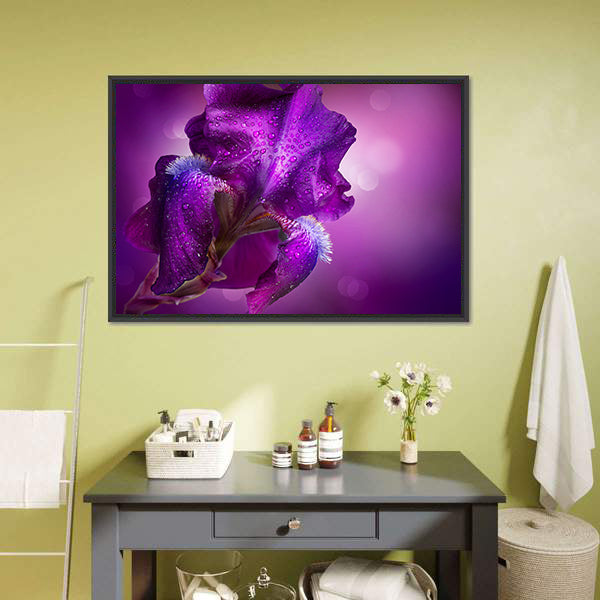 Bearded Iris Close-up with Dew Drops Canvas Wall Art