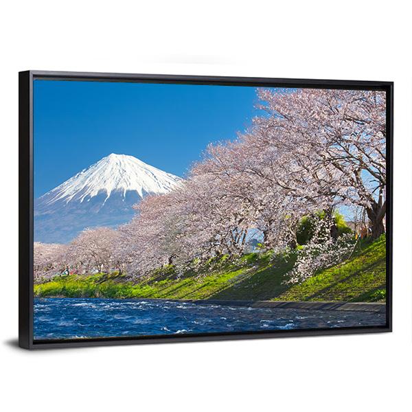 Mountain Fuji &amp; Cherry Blossom Canvas Wall Art