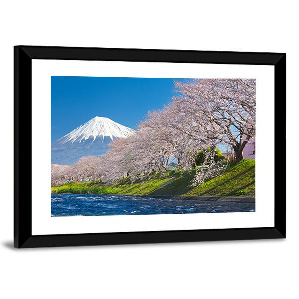Mountain Fuji &amp; Cherry Blossom Canvas Wall Art