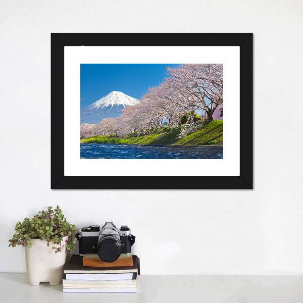 Mountain Fuji &amp; Cherry Blossom Canvas Wall Art