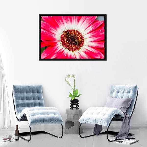 Beautiful Spring Flower Canvas Wall Art