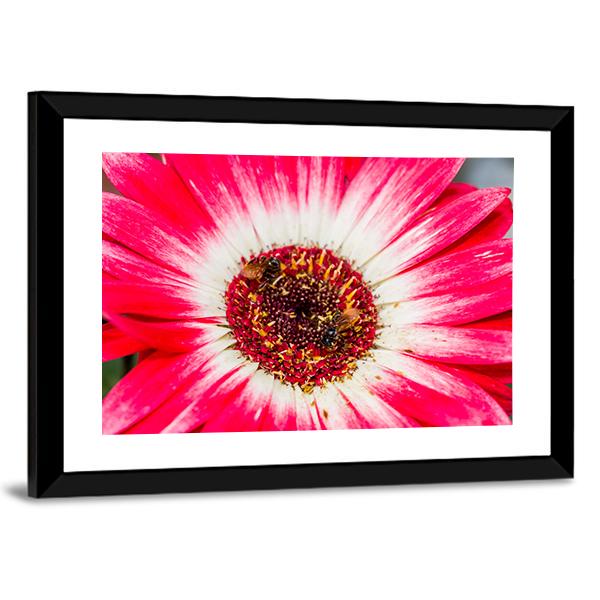 Beautiful Spring Flower Canvas Wall Art