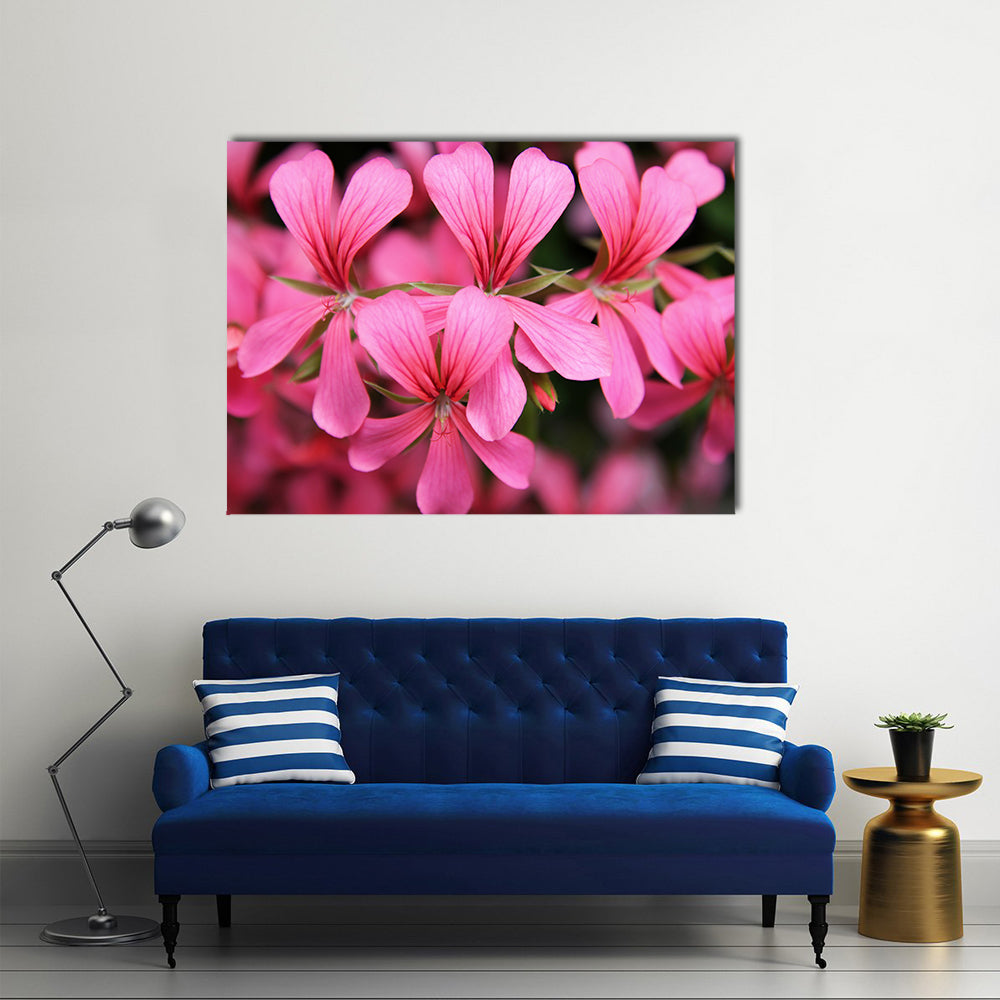 Pink Geranium Cascade Flowers Canvas Wall Art in pink, single panel hung on a wall