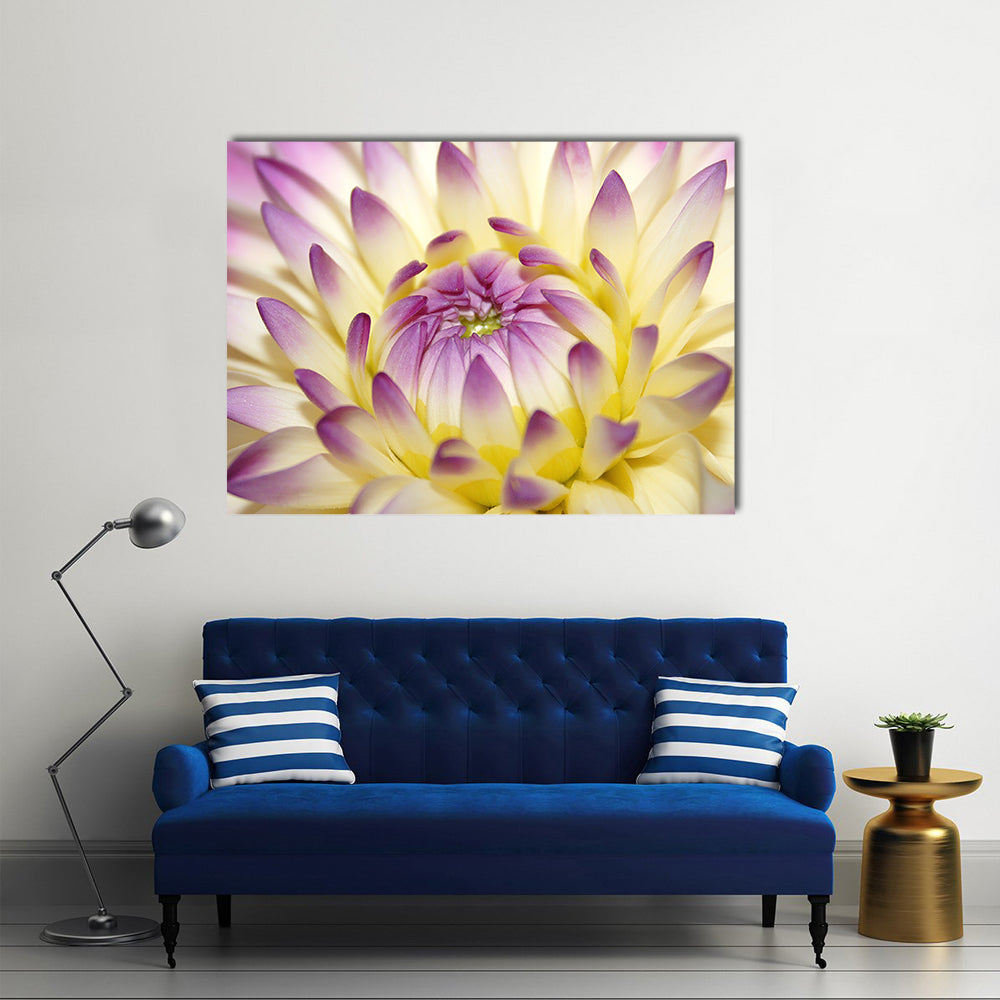 Macro Pink Flower Canvas Wall Art in yellow, purple and pink, single panel hung on a wall