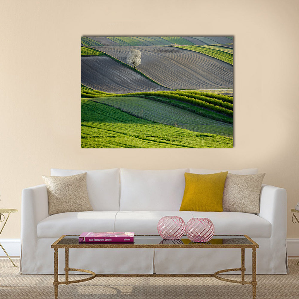 Wavy Fields In Poland Canvas Wall Art in gray, brown and green, single panel hung on a wall