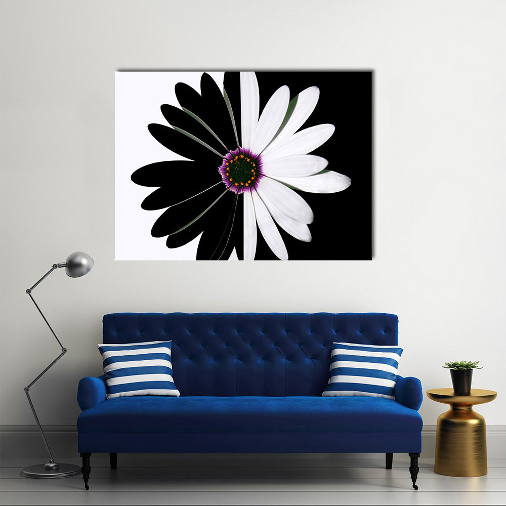 Black And White Flower Canvas Wall Art in black and white, single panel hung on a wall