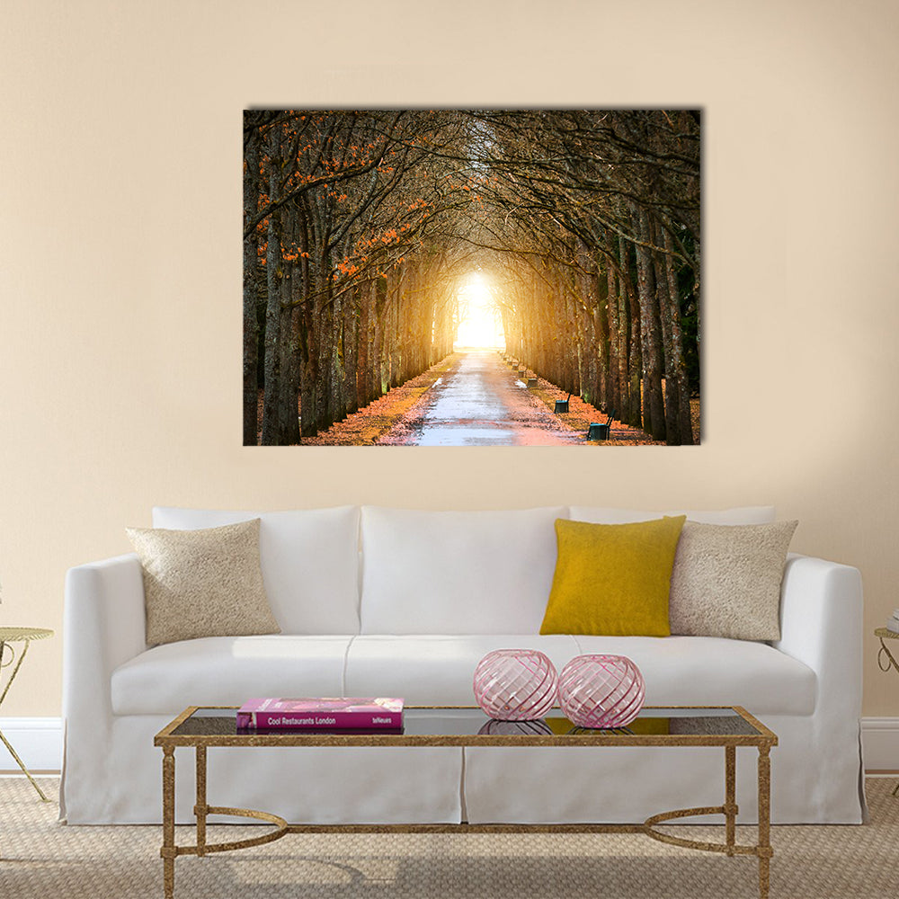 Autumn Tree Tunnel with Benches Canvas Wall Art in brown, orange and yellow, single panel hung on a wall