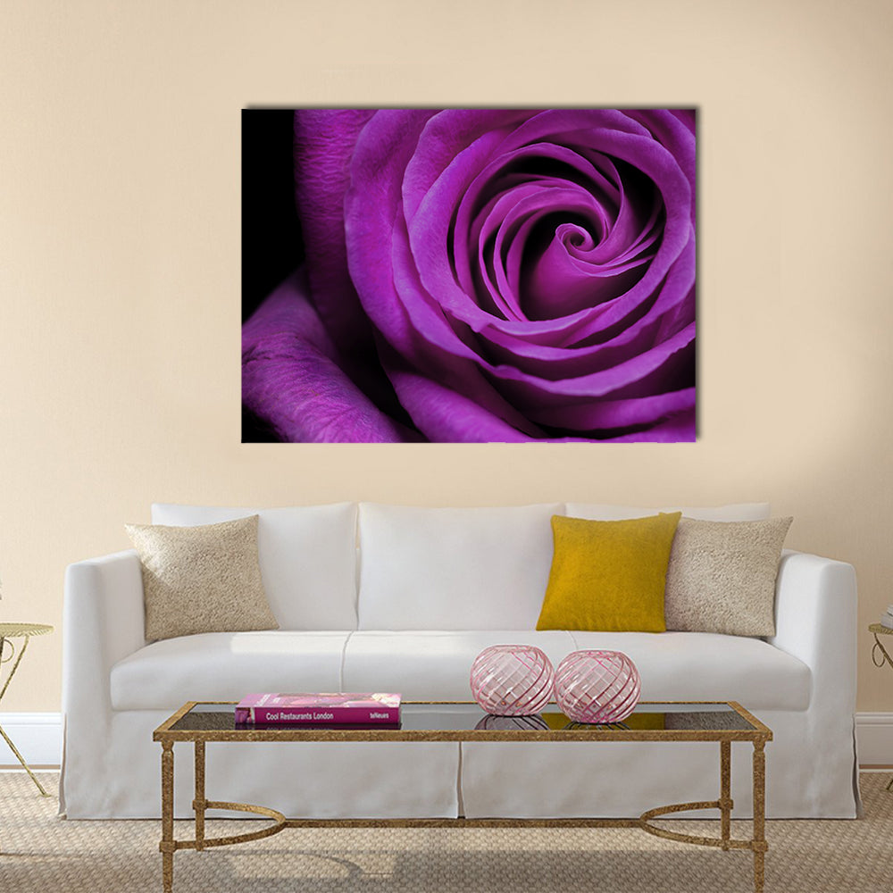 Purple Rose Close-Up Canvas Wall Art in black and purple, single panel hung on a wall