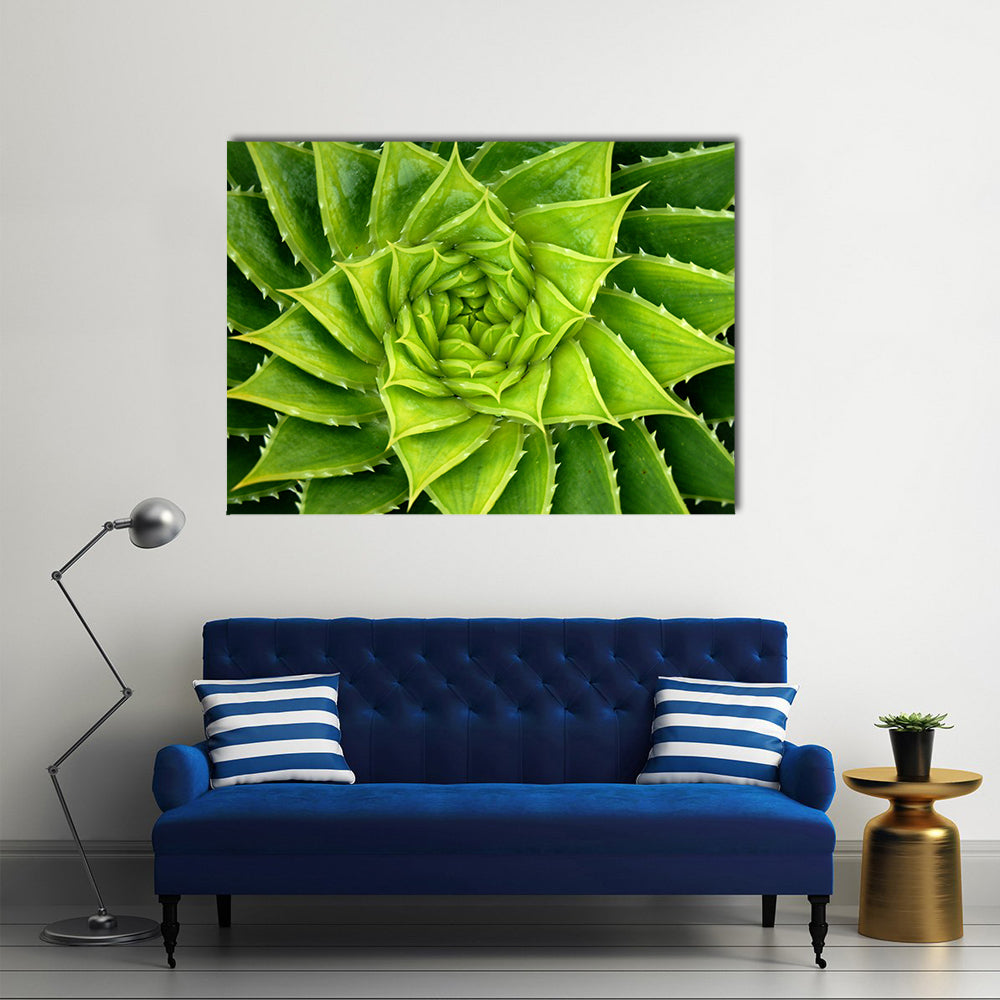 Vivid Green Spiral Aloe Plant Canvas Wall Art in green, single panel hung on a wall
