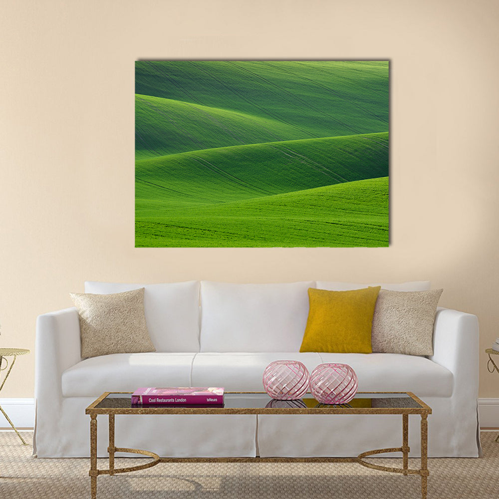 Rolling Green Hills in South Moravia Canvas Wall Art
