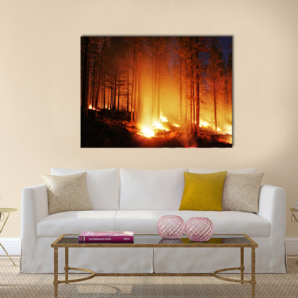 Glowing Forest Fire At Night Canvas Wall Art