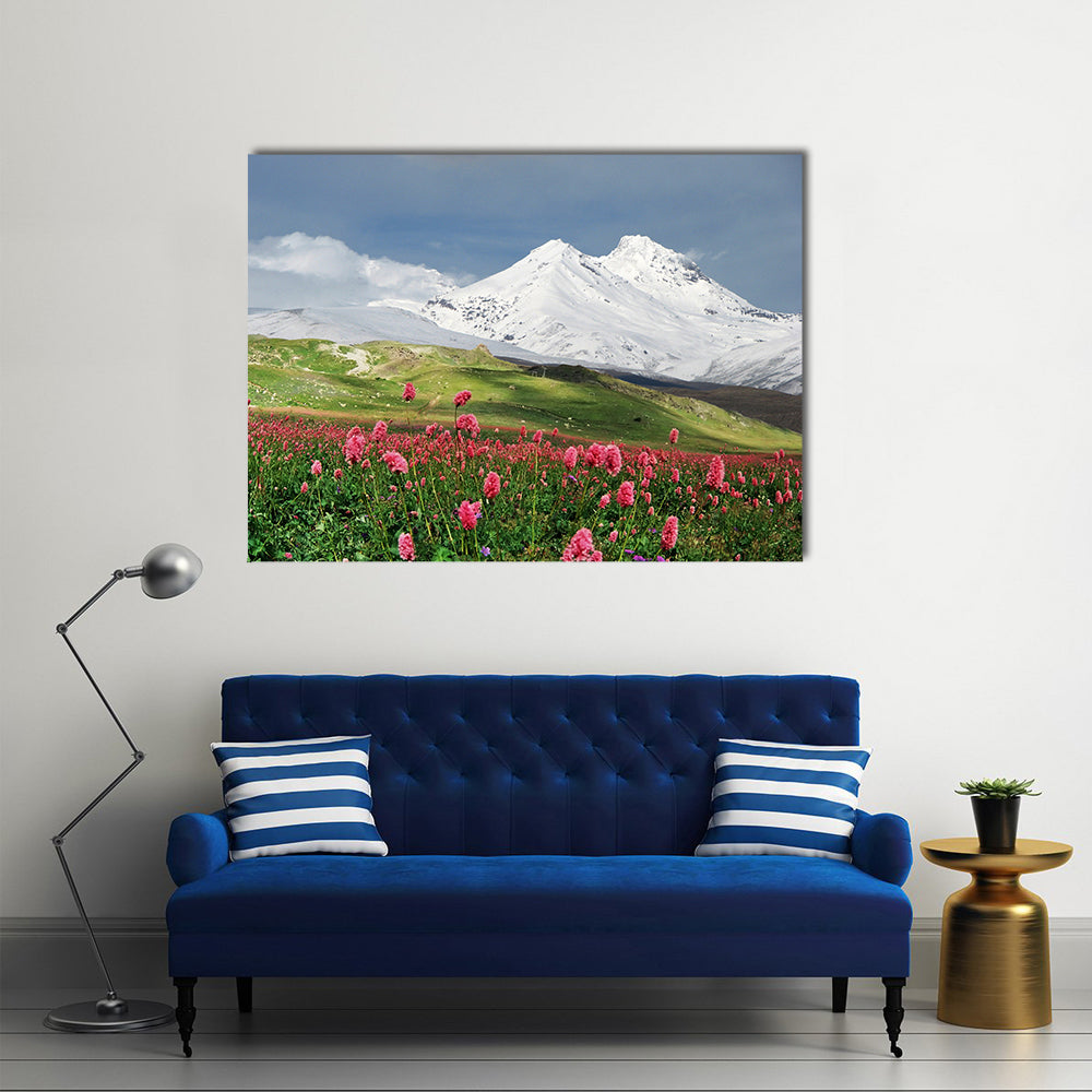 Blooming Flowers in Alpine Meadow Canvas Wall Art