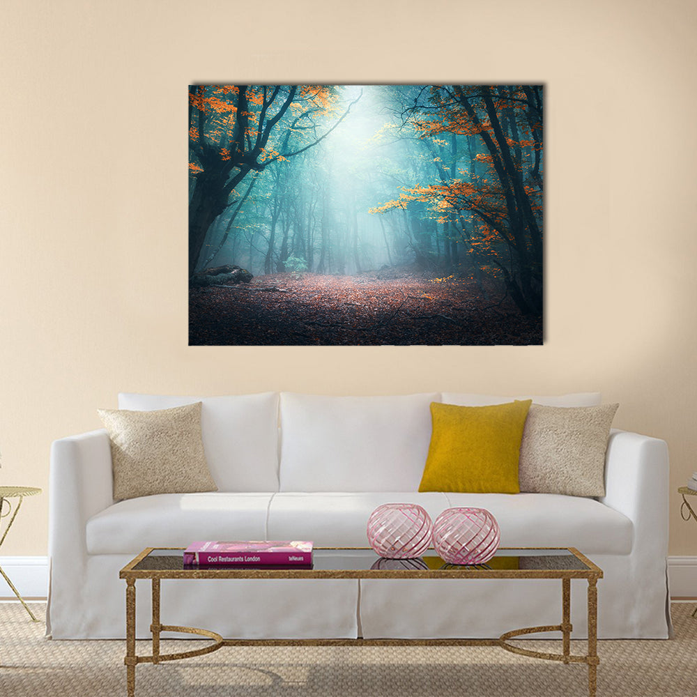 Mystical Forest in Autumn Canvas Wall Art