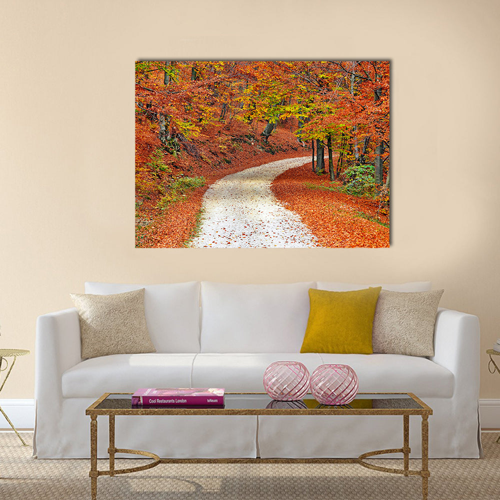 Autumn Misty Forest In Fall Canvas Wall Art