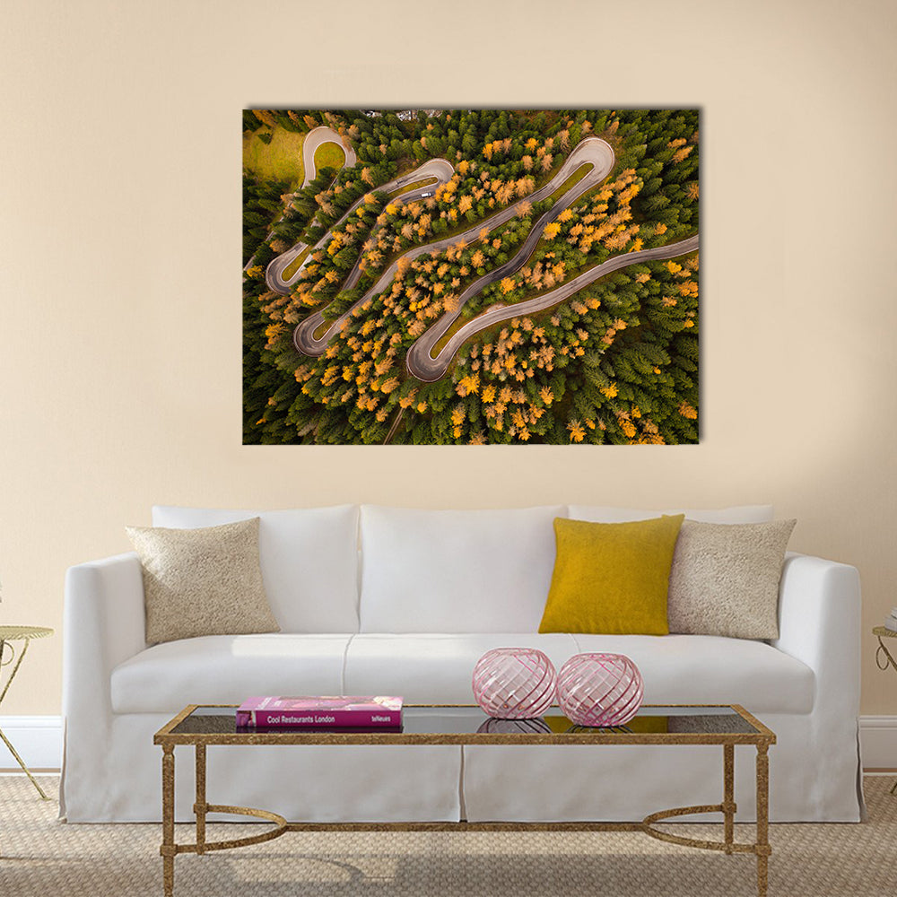 Curvy Road In Autumn Forest Canvas Wall Art
