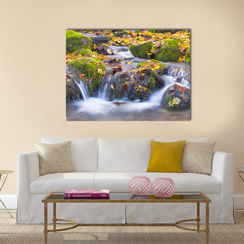 Cascade Waterfall In Autumn Forest Canvas Wall Art