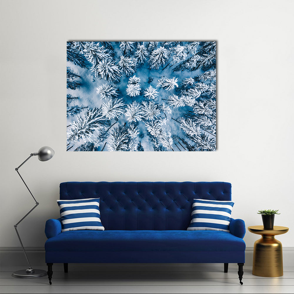 Trees And Snow In Winter Forest Canvas Wall Art