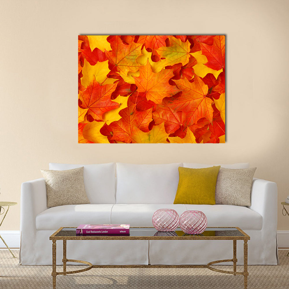Fall Maple Leaves Canvas Wall Art in red, orange and yellow, single panel hung on a wall