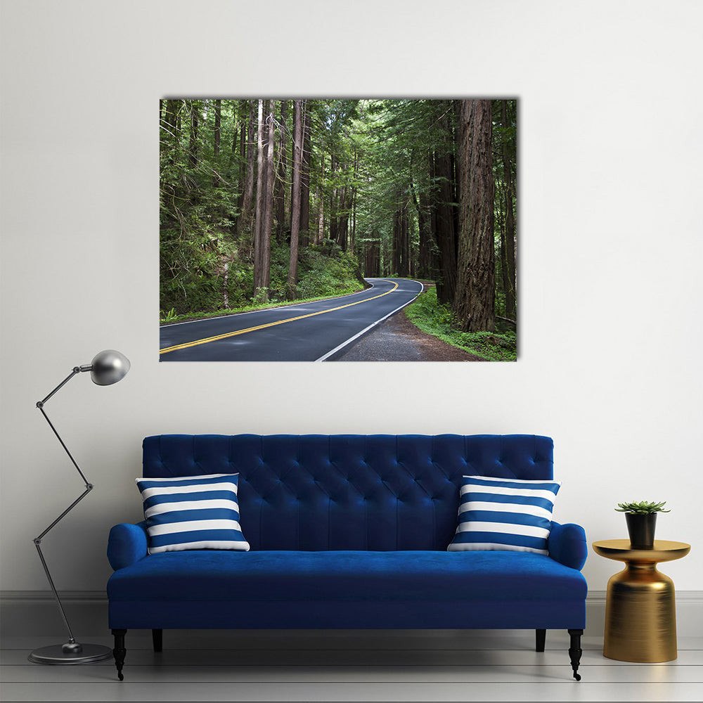 Redwoods Forest In California Canvas Wall Art