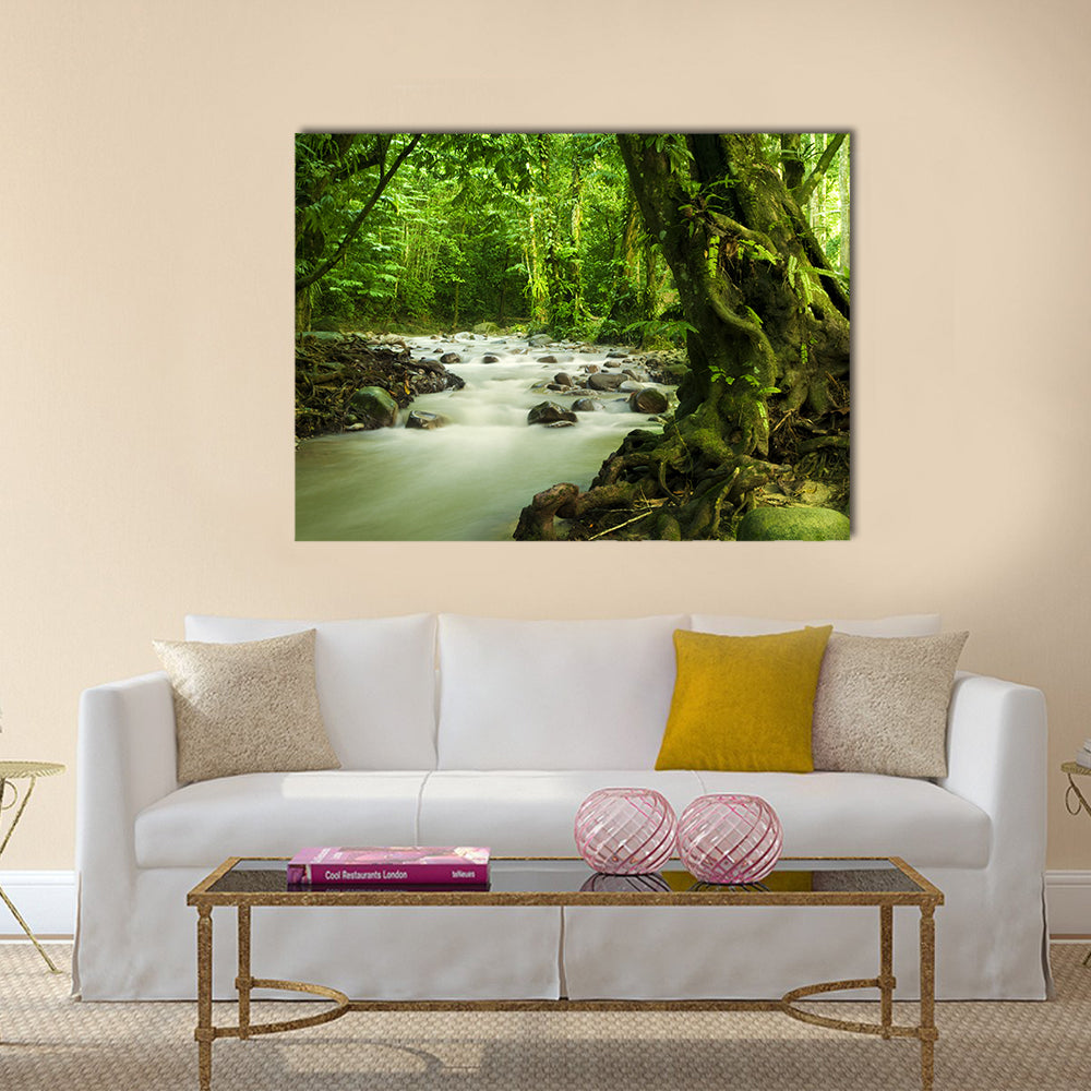 Tropical River At Selangor State In Malaysia Canvas Wall Art in brown and green, single panel hung on a wall