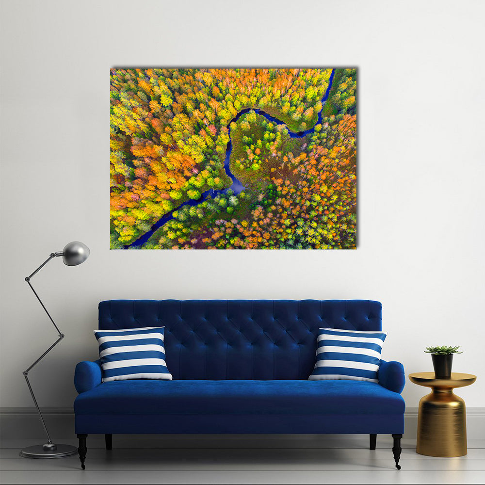 River In Autumn Forest Canvas Wall Art